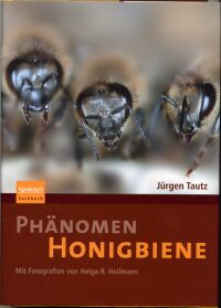 Ph�nomen Honigbiene